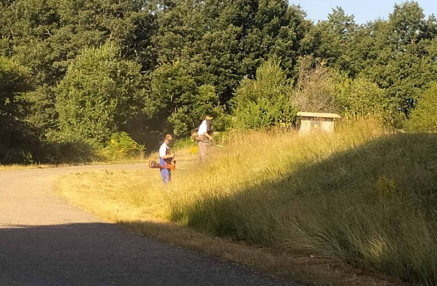 Работа на Мечкин Камен, на главната улица и кон Горно Дивјаци